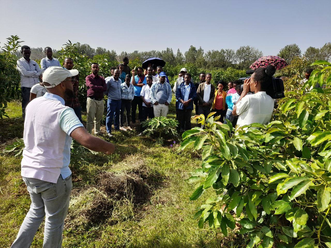 Melkam Farms workers